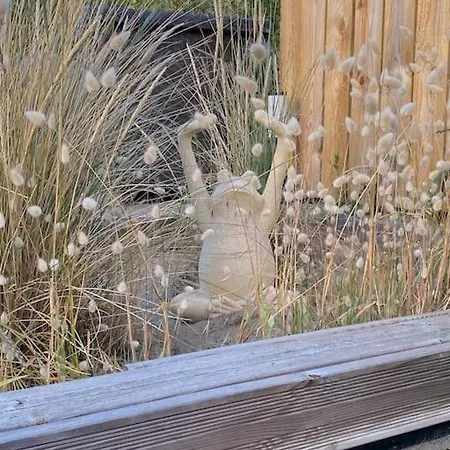 Bons Baisers Du Touquet - Maison Avec Acces Direct Aux Dunes Merlimont